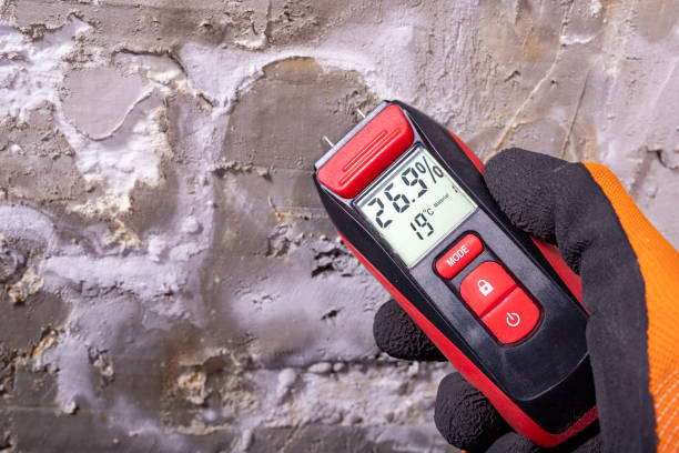 Best Attic Mold Removal  in Jackpot, NV