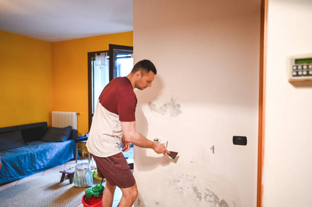 Best Toxic Mold Removal  in Jackpot, NV